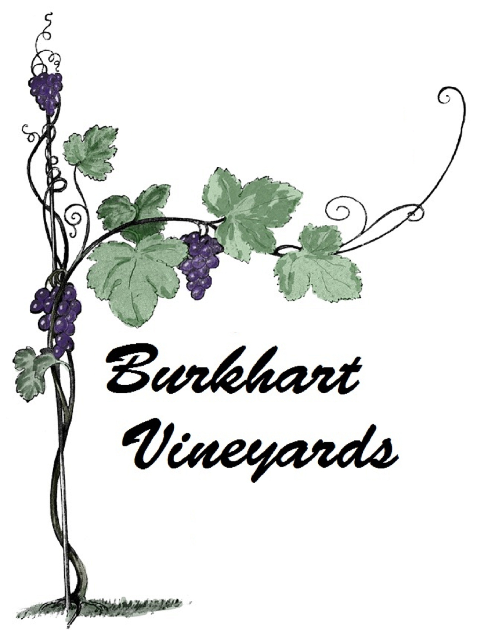 Burkhart Vineyards Logo Large 4