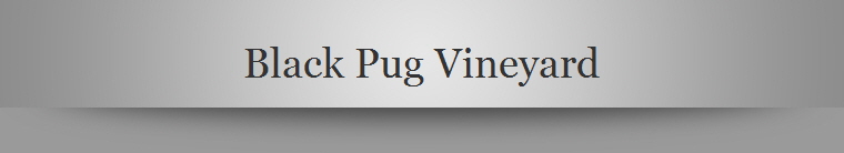 Black Pug Vineyard