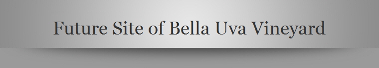 Future Site of Bella Uva Vineyard