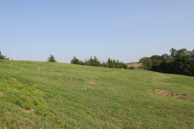 Future Site of Bella Uva Vineyard