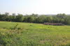 Future Site of Bella Uva Vineyard