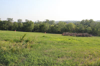 Future Site of Bella Uva Vineyard