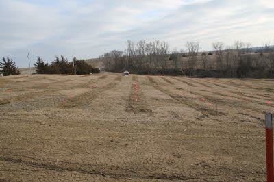 Future Site of Bella Uva Vineyard