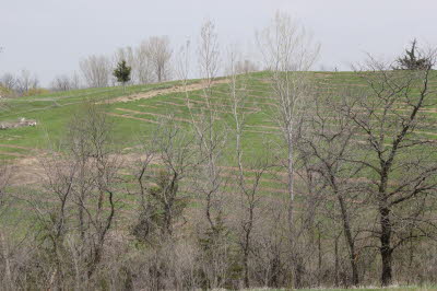 Future Site of Bella Uva Vineyard